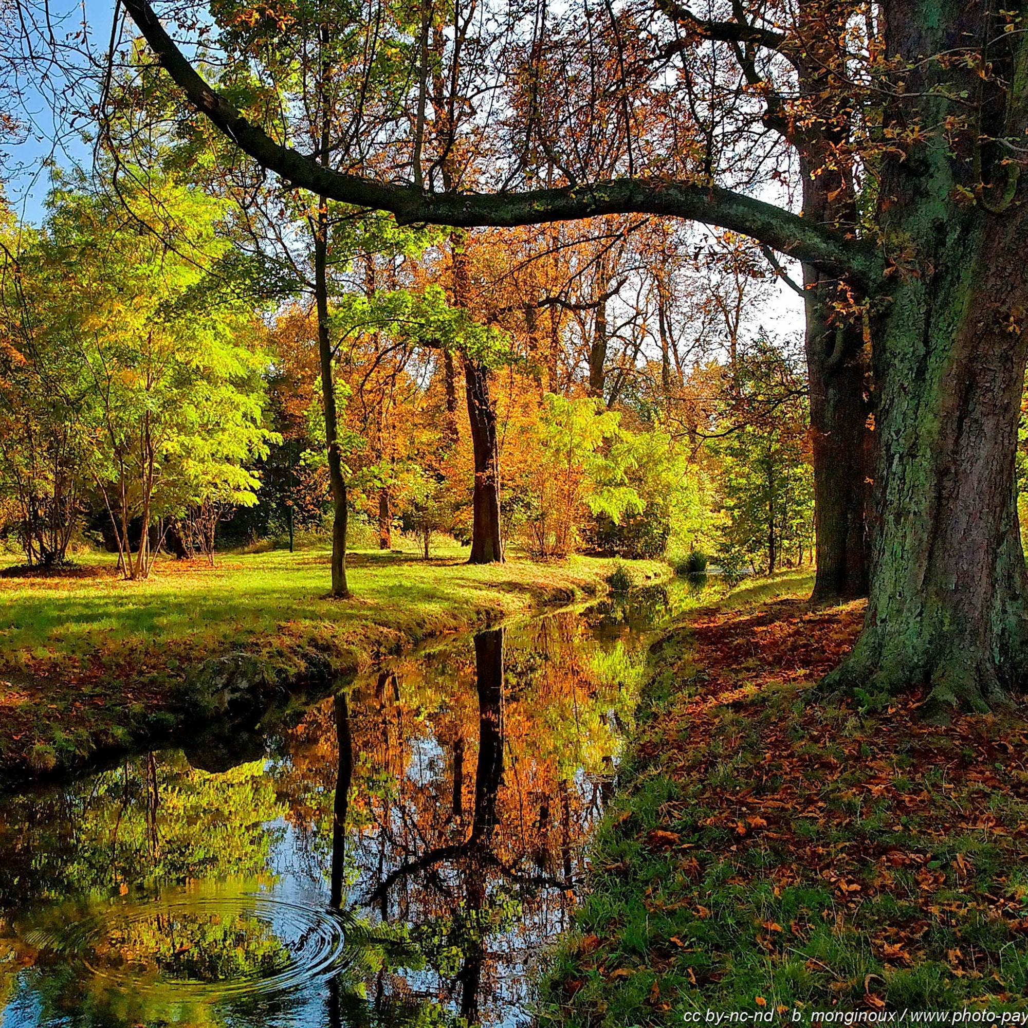 Photo de Janine BERTHON